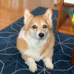 Meet your Posher, Jenn